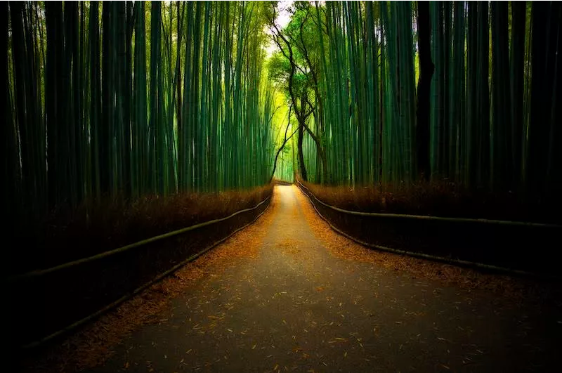 Illustration for article titled Tourists Are Ruining Kyoto's Scenic BeautyÂ
